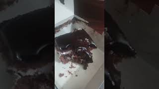 Eating Death by Chocolate Brownie Cake Pastry Vlog [upl. by Azilanna]