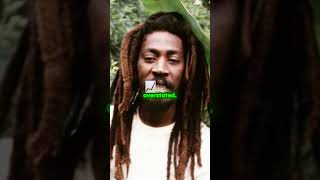 Bunny Wailer The Heart of Reggae Music [upl. by Suellen]