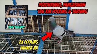 POZORRUBIO PANGASINAN 136 KM POOLING amp TRAINING  2X POOLING WINNER NA KAPTID NI quot116quot [upl. by Hermione]