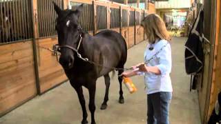 Absorbine Veterinary Liniment  Treat Lameness In Horses [upl. by Noirrad355]