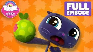 Autumn Special  Grabbleapple Harvest Full Episode  True and the Rainbow Kingdom 🌈 [upl. by Ternan]