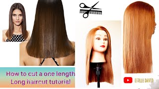 Coupe au carré long tutoriel one length haircut  Corte cuadrado largo tutorial [upl. by Assilev106]