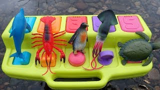 Pop Up with Sea Creature Toys [upl. by Lajet]