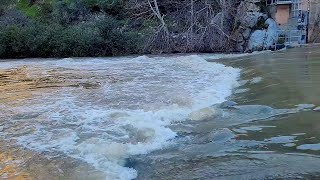 Raging and swollen San Gabriel River after heavy rain from Hurricane Hilary [upl. by Roddie]