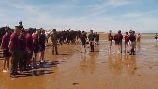 The Life Guards on Holkham Beach 2015 08 [upl. by Bethesda311]