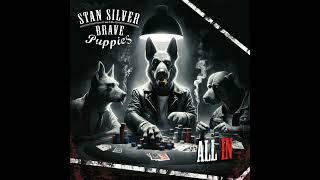 Stan Silver And The Brave Puppies  Cowboy City Saloon ClassicRock [upl. by Nodearb]