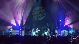 Whiskey Myers quotDogwoodquot Enmarket Arena Savannah GA 2192023 [upl. by Eimar]