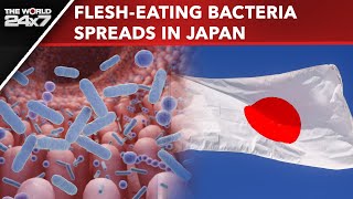 Japan News  Rare quotFleshEating Bacteriaquot That Can Kill In 2 Days Spreading In Japan [upl. by Clarise]