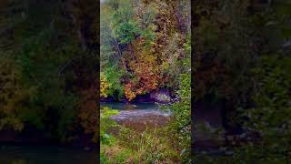 Satsop River WA at Hyperion Ranch [upl. by Tinor]