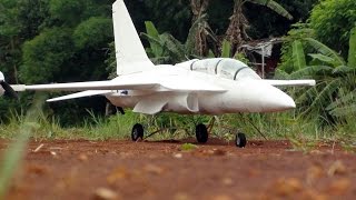 T50 Golden Eagle 4th flight  RC foam plane [upl. by Ailimaj]