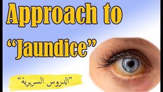 Approach to jaundice  الدروس السريرية الهضمية quot4quot  مقاربة مريض اليرقان  Clinical rotations quot4quot [upl. by Dryden]