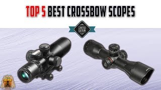 Top 5 Best Crossbow Scopes to Buy in 2023 Review  Make Selection From Our Recommended [upl. by Odlanier]