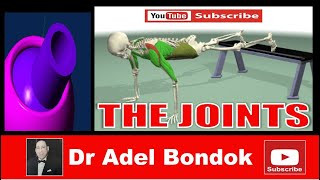 Anatomy of the Joints Dr Adel Bondok [upl. by Saltsman]