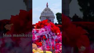 bhawanipatna kalahandi temple jai maa manikeswari [upl. by Animas511]