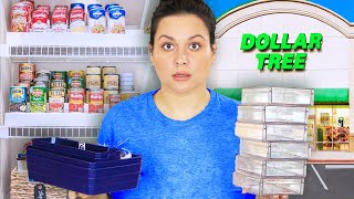 10 Brilliant Dollar Tree Organizing Finds Must Haves for 1 [upl. by Nilhsa]