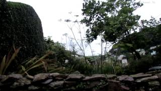 Walk Around Kingswear Village in Devon 2 [upl. by Chiquia]