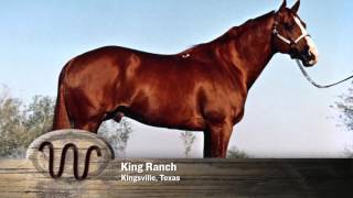 AQHA 75Year Breeder Salute [upl. by Egiarc61]