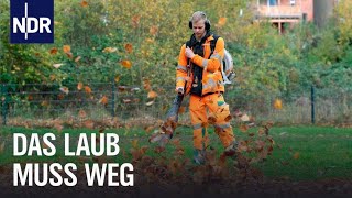 Hochbetrieb im goldenen Herbst  Die Nordreportage  NDR Doku [upl. by Avik]