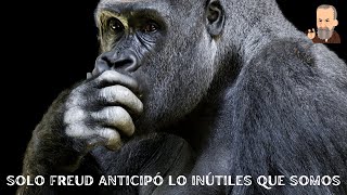 Epistemología Freudiana de la Inteligencia y la Explicación de Por Qué Somos tan Brutos [upl. by Mikihisa]