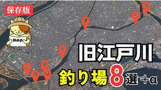 【保存版】旧江戸川を攻略せよ！旧江戸川釣りポイント８選＋ α｜上流から下流までシーバス・黒鯛・ハゼ釣りの釣りポイント、アクセス、トイレ、視聴者さんたちからのコメントを一挙紹介！ [upl. by Jourdain698]