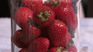 How to extract DNA from strawberries [upl. by Faletti432]