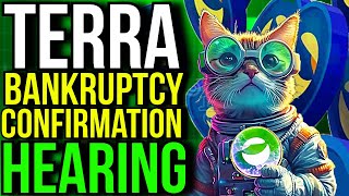 TERRA FORM LABS BANKRUPTCY PLAN CONFIRMATION FULL HEARING [upl. by Paucker]