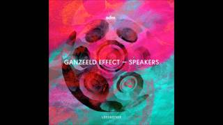 Ganzfeld Effect  Bitches Original Mix [upl. by Karli]