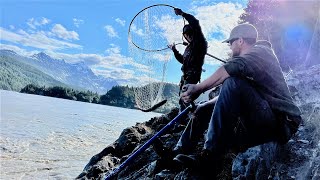 Dipnetting Alaskas Copper River Red Salmon amp Exploring the Foot Hills of the AK Range [upl. by Nrojb]