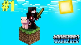 First Day In Minecraft Oneblock But Minecraft Oneblock EP 1  StarBoy Playz [upl. by Ajad]