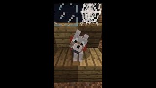 When You Leave Your Minecraft Dog [upl. by Hines]