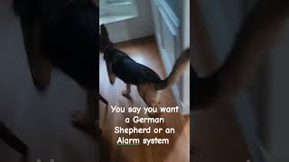 Warning GSD alarm system [upl. by Criswell409]