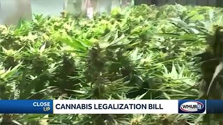 State reps say legal cannabis still years away as new bill emerges  CloseUp [upl. by Aibat]