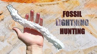 Finding STUNNING Fossil Lightning Strikes Fulgurites at a Sand Mine in Central Florida w SEGS [upl. by Aynos]