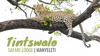 Tintswalo Safari Lodge in the Manyeleti Game Reserve South Africa [upl. by Loferski]