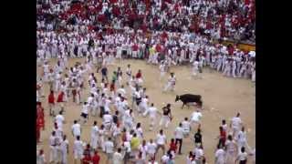 Sanfermines  people teasing the bulls in the bullring [upl. by Dorrie]