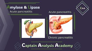 E2acute pancreatitis Amylase amp Lipase انزيمات البنكرياس الاميليز والليبيز [upl. by Gally]