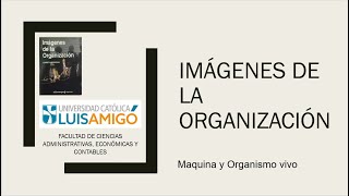 Clase Organizaciones Imágenes de la Organización  Gareth Morgan [upl. by Einalem]