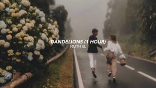 ruth b  dandelions 1 hour tiktok version I’m in a field of dandelions [upl. by Eldin]