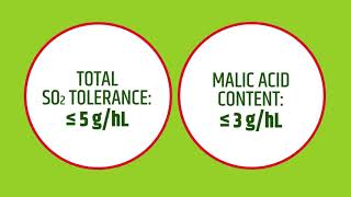 ML Prime™ a selected wine bacteria for very fast and efficient malolactic fermentation on red wine [upl. by Nyberg]