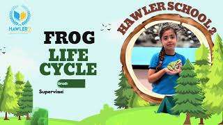 Frog Life Cycle 🐸 Grade Three 💚 [upl. by Levey973]