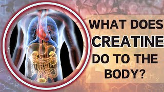 What does creatine do in the body [upl. by Nnayllas]