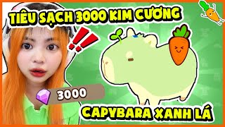 KAMUI TIÊU HẾT SẠCH 3000 KIM CƯƠNG SỞ HỮU THÚ CƯỠI CAPYBARA MỘT MÀU XANH LÁ [upl. by Eduino]