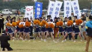 第90回箱根駅伝予選会 創価大学応援シーン [upl. by Nylitak]