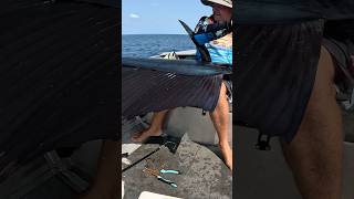 Monster Fish  How did he Get it shorts fishing billfish sailing ocean new today boat new [upl. by Ahsenhoj569]