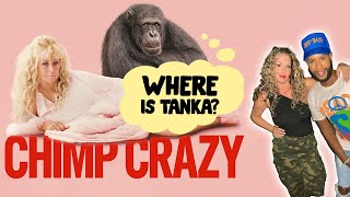 Breaking Down the Madness HBO’s ‘Chimp Crazy’ Episodes 13 Recap [upl. by Jamison178]