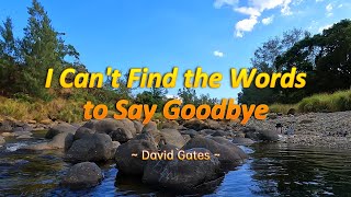 I CANT FIND THE WORDS TO SAY GOODBYE  4k HDR Karaoke Version  in the style of David Gates [upl. by Eyanaj]