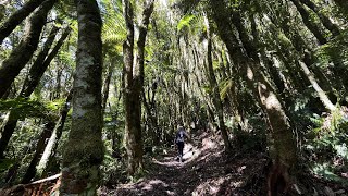 Morning trail run  Western Okataina Track amp Twin Lakes Track Rotorua NZ [upl. by Akcirret]