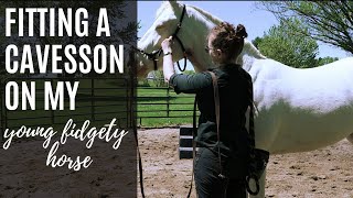 How to Fit a Lunge Cavesson  Equestrian Education  Classical Groundwork [upl. by Houghton465]