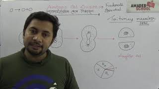 Amitosis Cell Division  অ্যামাইটোসিস কোষ বিভাজন ।। HSC Botany Chapter 3 [upl. by Jacobine]