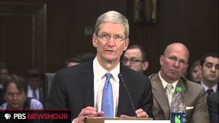 Apple CEO Tim Cook at Senate Hearings part 2 [upl. by Ahsienauq]